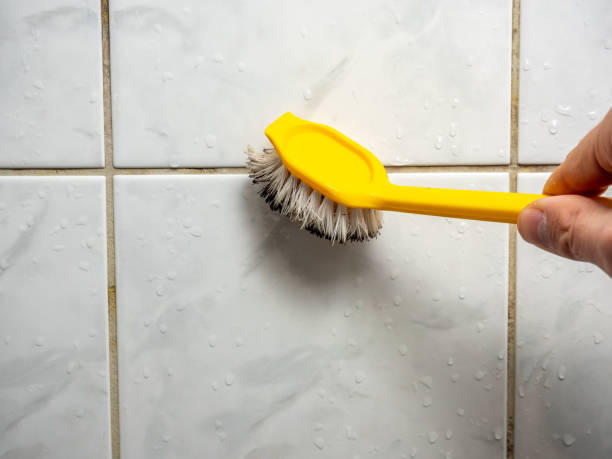 Best Fast Mold Removal  in Farmerville, LA
